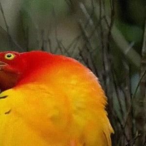 Meet your Posher, Brad